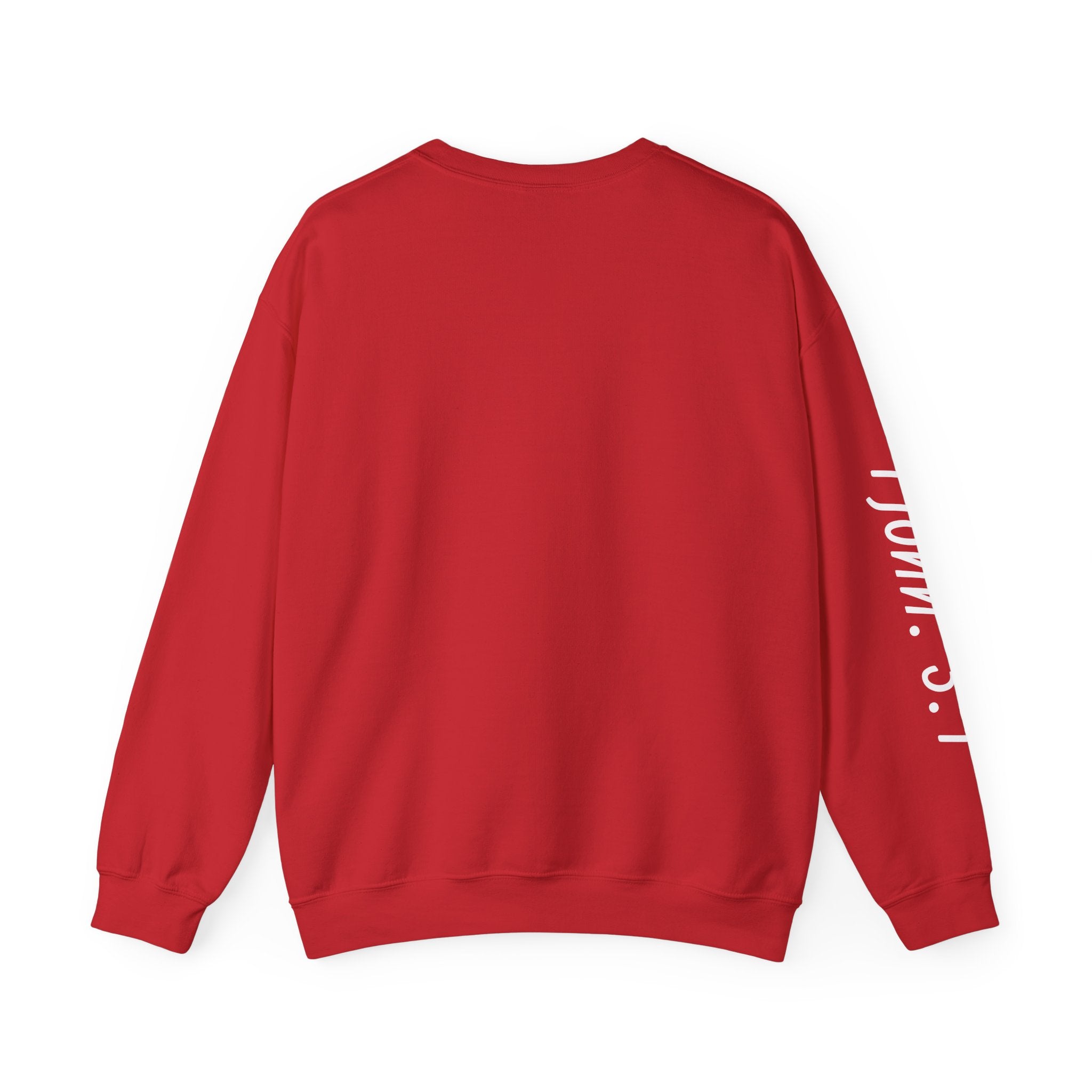 God's Wild Child Crewneck Sweatshirt — Christian Faith Graphic Pullover